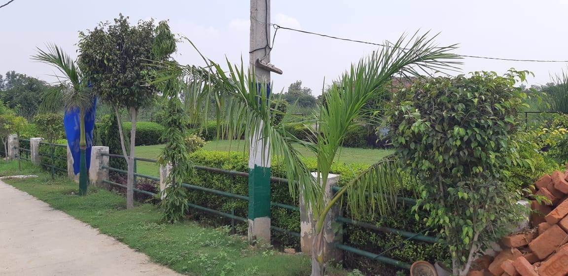 Shapoorji - Pallonji
